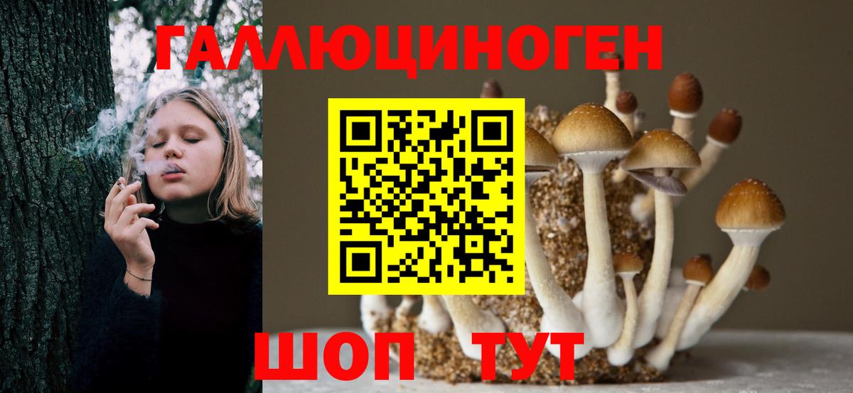 Галлюциногенные грибы мицелий  Псилоцибиновые грибы Psilocybine cubensis  Первоуральск  Вход с VPN 